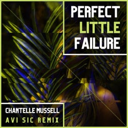 Perfect Little Failure (Avi Sic Remix)