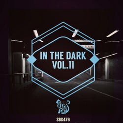In the Dark, Vol. 11