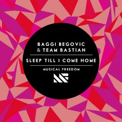 Baggi Begovic "Sleep Till I Come Home" Chart