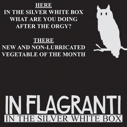 In The Silver White Box EP