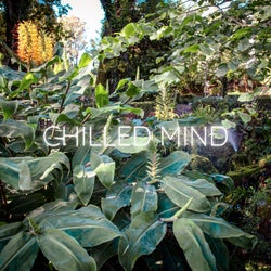 Chilled Mind