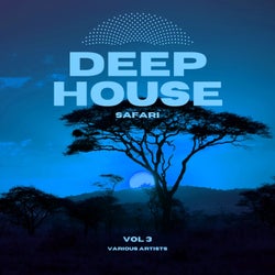 Deep-House Safari, Vol. 3