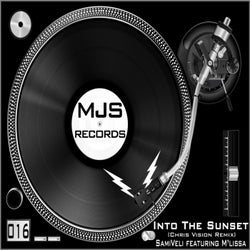 Into The Sunset (Chris Vision Remix)