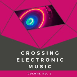 Crossing Electronic Music, Vol. 6