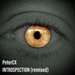 Introspection (Remixed)