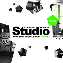 Straight From Studio, Vol.2: Wide Spectrum Of Dub Techno