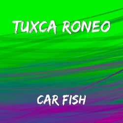 Car Fish