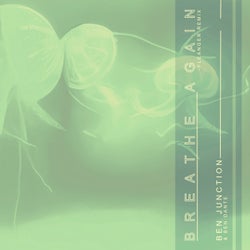 Breathe Again (Fleanger Remix)