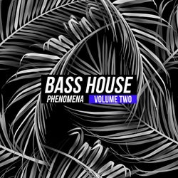 Bass House Phenomena, Vol. 2