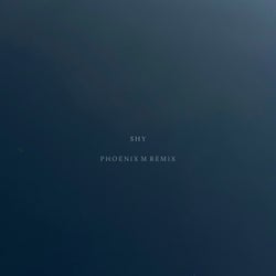 Shy (Pheonix M Remix)