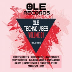 Ole Techno Vibes Volume 01