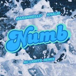 Numb (KC Lights Remix (Extended))