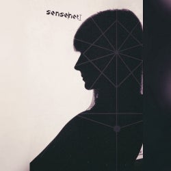 SenseNet's "HeadSpace" Chart - Past Gift