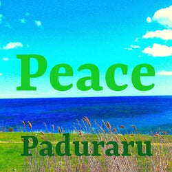 Peace 2022 (Festival Music)