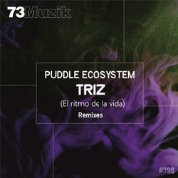 Triz (El Ritmo De La Vida) Remixes