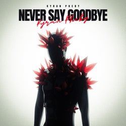 Never Say Goodbye