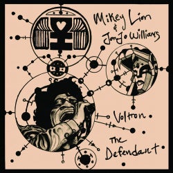 Voltron / Defendant