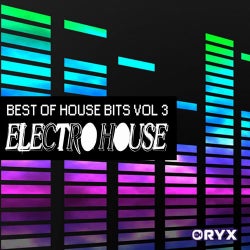 Best of Electro House Bits Vol 3