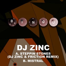 Steppin Stones (DJ Zinc & Friction Remix) / Mistral