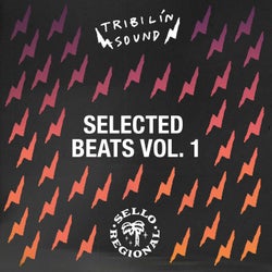 Selected Beats, Vol. 1