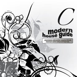 Modern House Guide - C