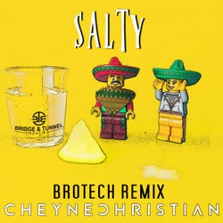 Salty (Brotech Remix)