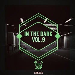 In the Dark, Vol. 9