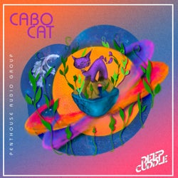 Cabo Cat