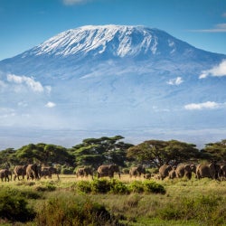 Poolside Recordings - Kilimanjaro Chart