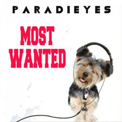 Most Wanted