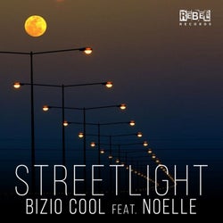 Streetlight (feat. Noelle)