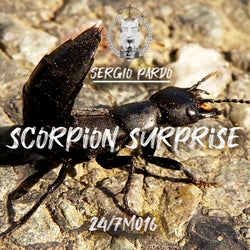 Scorpion Surprise