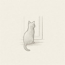 The Cat