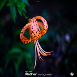 Aether(end.ways Remix)