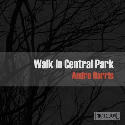 Walk In Central Park