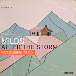 After The Storm (NoT Dubbed Remix)