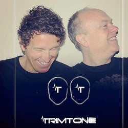 Trimtone - Love you feel chart