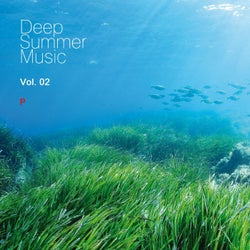Deep Summer Music Vol. 02