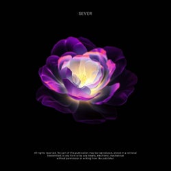 Vision (Versions)