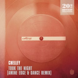 Took The Night - Amine Edge & DANCE Remix