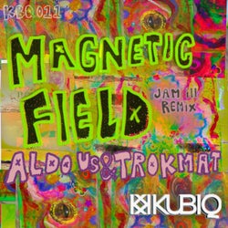 Magnetic Field