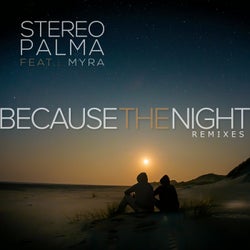 Because the Night(Remixes)