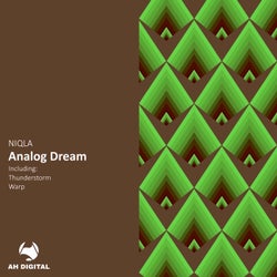Analog Dream