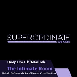 The Intimate Room ( the Remixes )