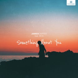 Something About You (Extended Mix)