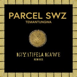 Ngiyatifela Ngawe (Remixes)