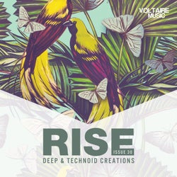 Rise - Deep & Technoid Creations Issue 30