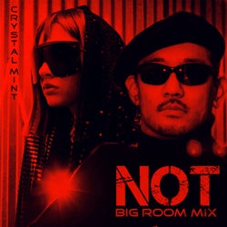NOT (Big Room Mix)