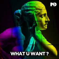 What U Want (The Remixes) - The Remixes