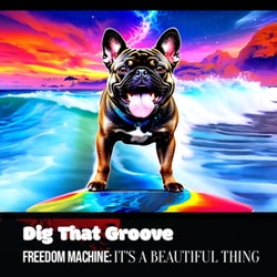 Freedom Machine: Its a Beautiful Thing